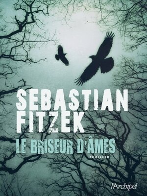 cover image of Le Briseur D'âmes